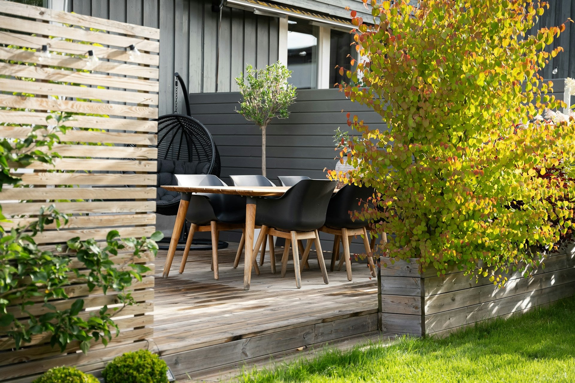 slider image 162080663620b95195-1